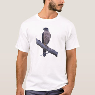 Camiseta O falcão do tanoeiro