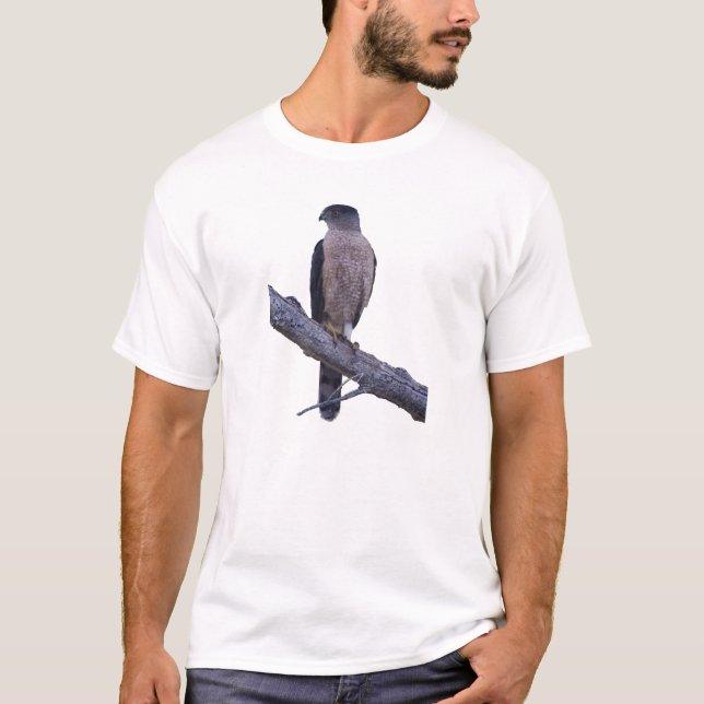 Camiseta O falcão do tanoeiro (Frente)