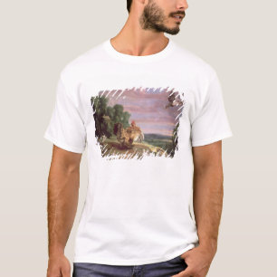 Camiseta O falcão e a galinha