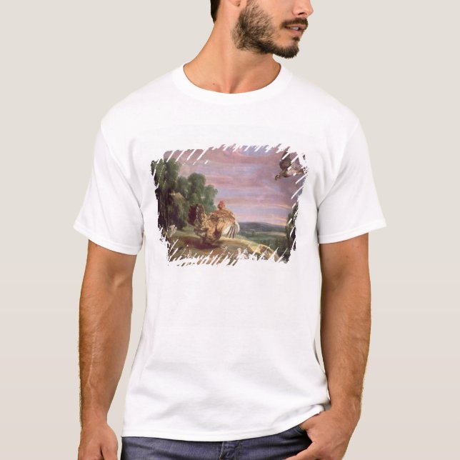 Camiseta O falcão e a galinha (Frente)