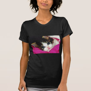 Camiseta O gatinho o mais bonito dos mundos