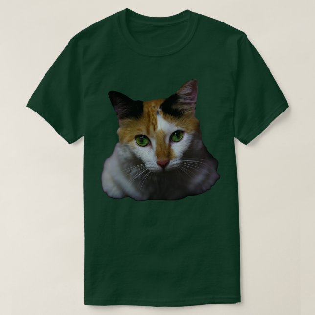 Camiseta o gato (Frente do Design)