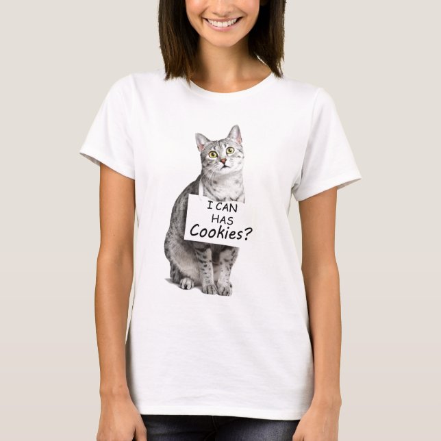 Camiseta O gato bonito pergunta-me pode tem biscoitos? (Frente)