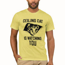 O gato do teto está olhando-o!