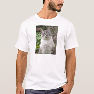 Camiseta O gato eyed cruz