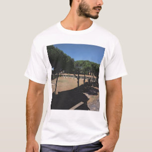 Camiseta O grande Palaestra