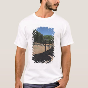 Camiseta O grande Palaestra