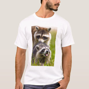 Camiseta O guaxinim, Procyon lotor, é um mamífero amplament