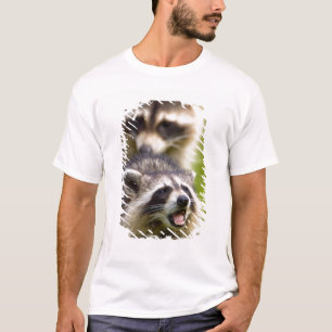 Camiseta O guaxinim, Procyon lotor, é um mamífero amplament