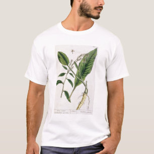 Camiseta O Horseradish, chapeia 415 "de um erval curioso",