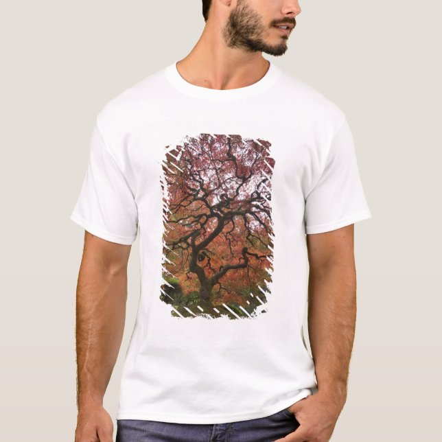Camiseta O mapa japonês na cor do outono (Frente)