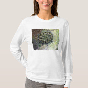 Camiseta O Massif de Brandberg em Namíbia do norte