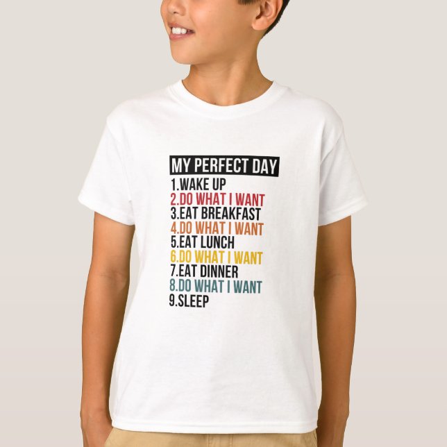 Camiseta O meu prêmio de festa de aposentadoria perfeito (Frente)