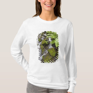 Camiseta O musgo cobriu rochas com água e as samambaias