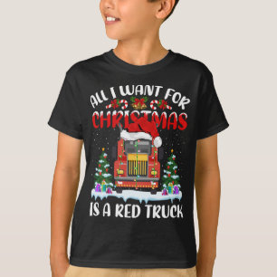 Camiseta O Noiva Engraçado Que Tudo O Que Quero Para O Nata
