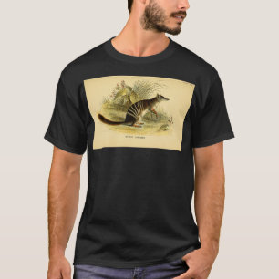 Camiseta O número Myrmecobius fasciatus aqui como Banded An