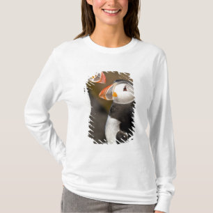 Camiseta O Papagaio-do-mar