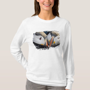 Camiseta O papagaio-do-mar, uma ave marinha pelágica