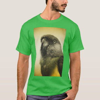 Camiseta o penetre flff do Bahb