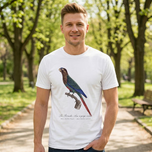 Camiseta O periquito-pintado, Pyrrhura Picta