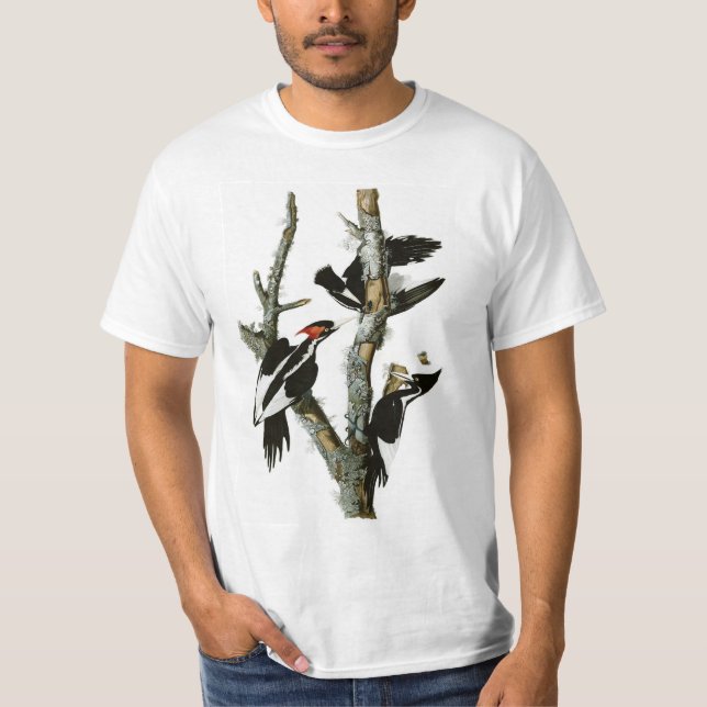 Camiseta O pica-pau Marfim-faturado de Audubon (Frente)