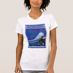 Camiseta O Polar Express   Luzes de Norte Viagens vintage