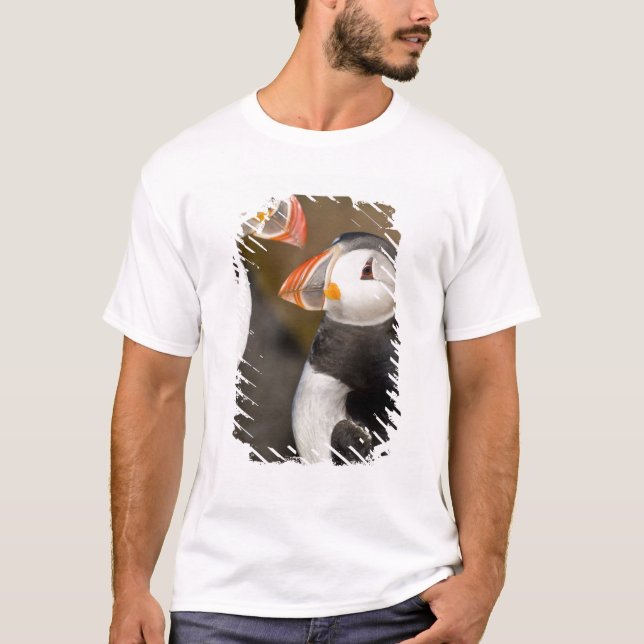 Camiseta O Puffin Atlântico (Frente)