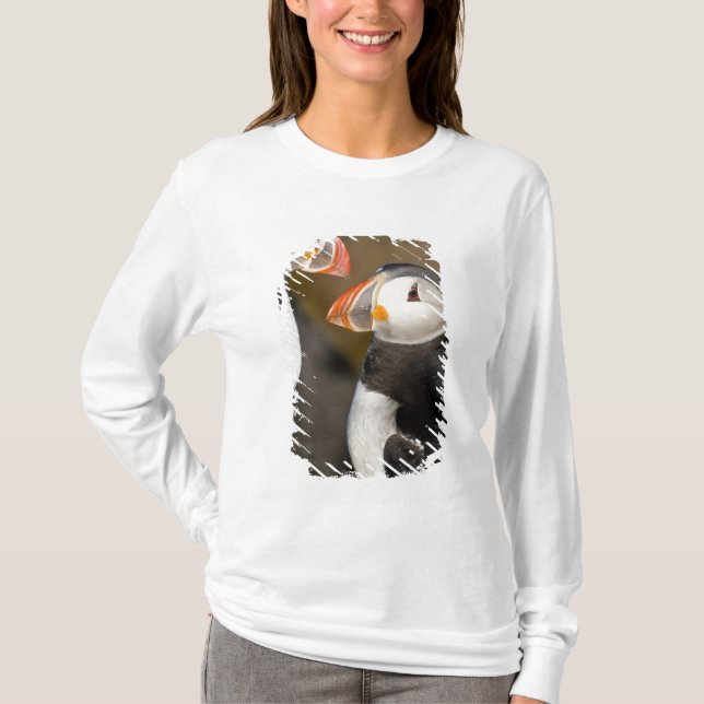 Camiseta O Puffin Atlântico (Frente)