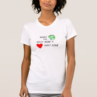 CAMISETA O QUE O MUNDO PRECISA AGORA É AMOR