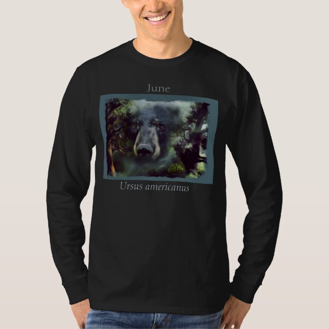 Camiseta O retrato de junho longo-sleeved T (Frente)