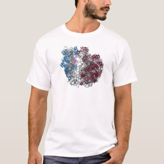 Camiseta O Ribosome - menor
