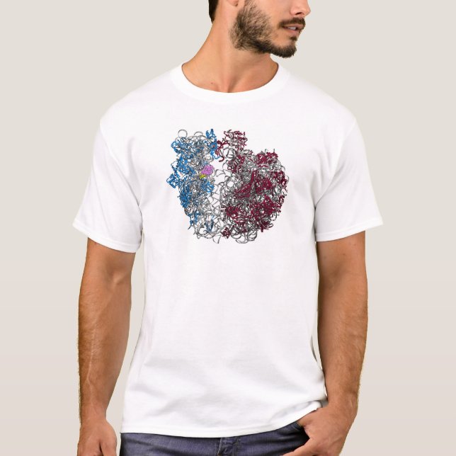 Camiseta O Ribosome - menor (Frente)