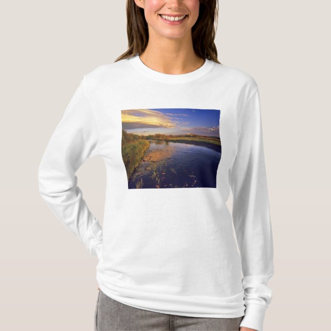 Camiseta O Rio Grande Buraco, finalmente, perto de Jackson (Frente)