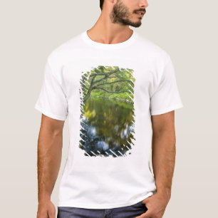 Camiseta O rio Taunton em Bridgewater,