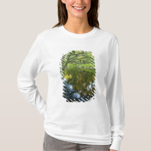Camiseta O rio Taunton, em Bridgewater,