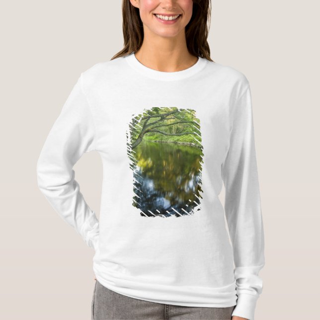 Camiseta O rio Taunton em Bridgewater, (Frente)