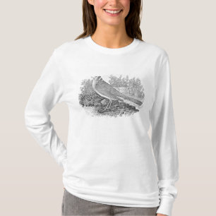 Camiseta O rouxinol