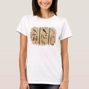 Camiseta O sarcófago de Psamtik eu (664-610 BC) detalho o