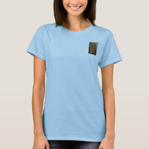 Camiseta O T secreto do calipso