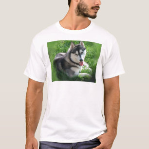 Camiseta O t-shirt dos homens do cão do rouco Siberian