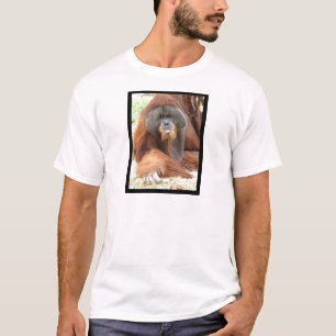 Camiseta O t-shirt dos homens do macaco do orangotango do