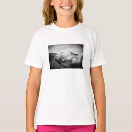 Camiseta O t-shirt dos homens do trem | do vapor, escolha