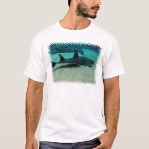 Camiseta O t-shirt dos homens do tubarão de areia