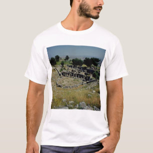 Camiseta O teatro grego
