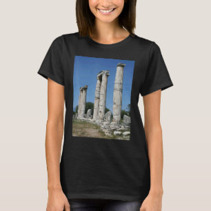 Camiseta O Templo De Ruínas Afroditas De Afrodisias Turki