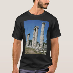 Camiseta O Templo De Ruínas Afroditas De Afrodisias Turki
