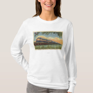 Camiseta O trem de estrada de ferro do pássaro do zumbido
