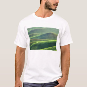 Camiseta O trigo brota nas colinas do Palouse