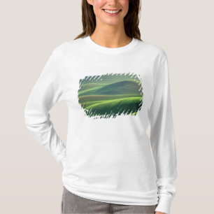 Camiseta O trigo brota nas colinas do Palouse