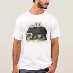 Camiseta O urso de Brown, bar educacional da ilustração.